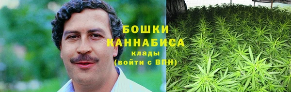 ПСИЛОЦИБИНОВЫЕ ГРИБЫ Навашино