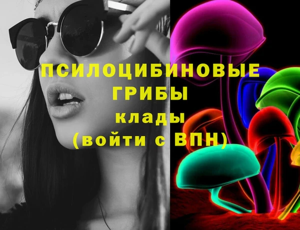ПСИЛОЦИБИНОВЫЕ ГРИБЫ Навашино