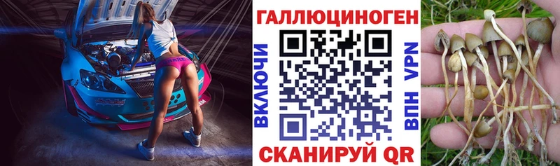 купить наркотики цена  Власиха  Псилоцибиновые грибы прущие грибы 