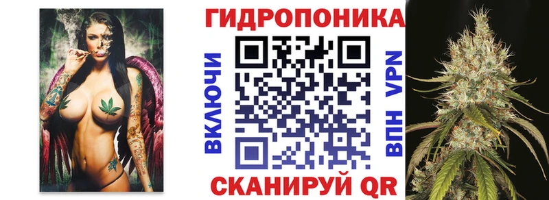 дарнет шоп Власиха Бошки марихуана сатива